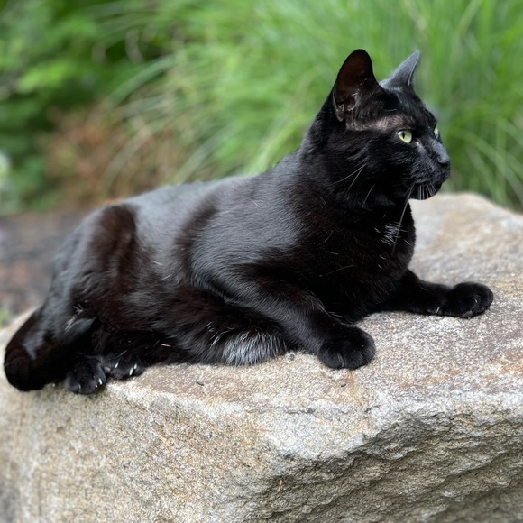 Meet your Posher, Jen - Picture 9 of 14